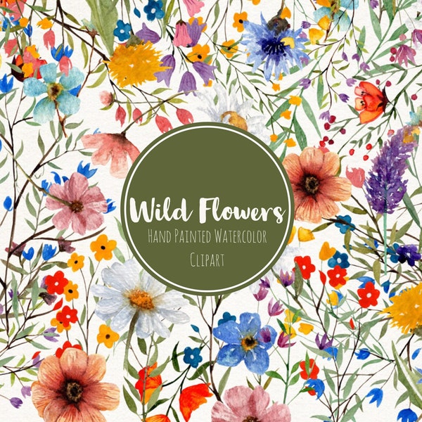 Hand Painted Colourful Watercolor Wild Flowers Clipart- Watercolor Floral Elements- Spring Summer Flower Clip Art- WildFlower Png- Botanical