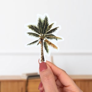 May include: A palm tree sticker with a white border. The tree has a brown trunk and green and yellow fronds. The sticker is held by a person's hand against a white background.