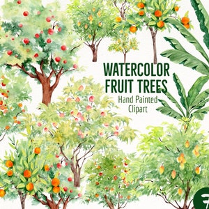 Clipart di alberi da frutto ad acquerello - Albero di banane dipinto a mano - PNG di alberi di arance - Meli - Clip art di alberi da frutteto - Download immediato - Verde
