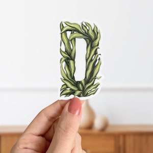Pegatina de planta Dracaena con la letra D - Pegatina del alfabeto botánico - Hojas botánicas mate - Pegatina inicial