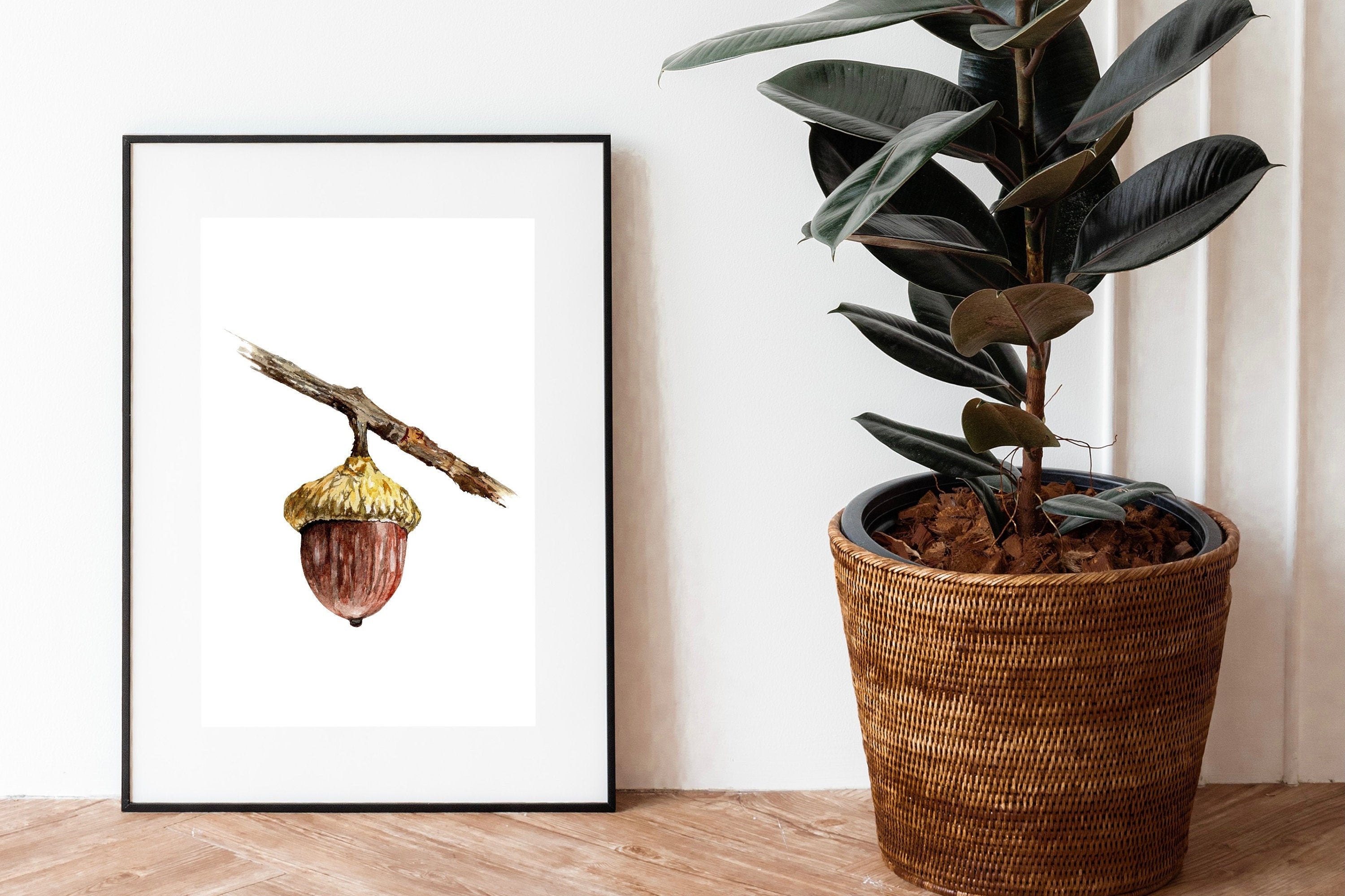 どんぐりアート　よこリンページ Amazon.co.jp: どんぐりアート N o5 ニスなし自然のかたち : ホーム