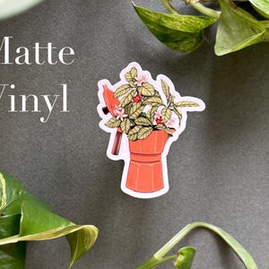 Peut inclure: Autocollant en vinyle mat repr&eacute;sentant une cafeti&egrave;re orange avec un motif v&eacute;g&eacute;tal. L'autocollant a une bordure blanche et contient le texte "Matte Vinyl". L'autocollant est entour&eacute; de plantes vertes.