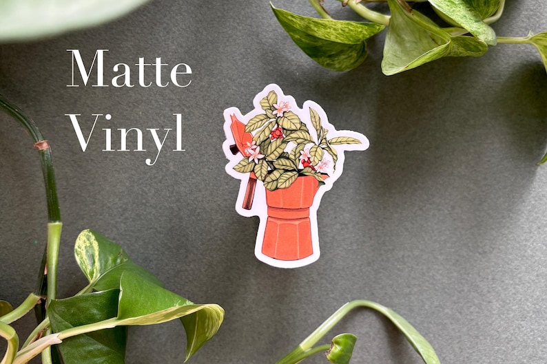 Peut inclure: Autocollant en vinyle mat repr&eacute;sentant une cafeti&egrave;re orange avec un motif v&eacute;g&eacute;tal. L'autocollant a une bordure blanche et contient le texte "Matte Vinyl". L'autocollant est entour&eacute; de plantes vertes.