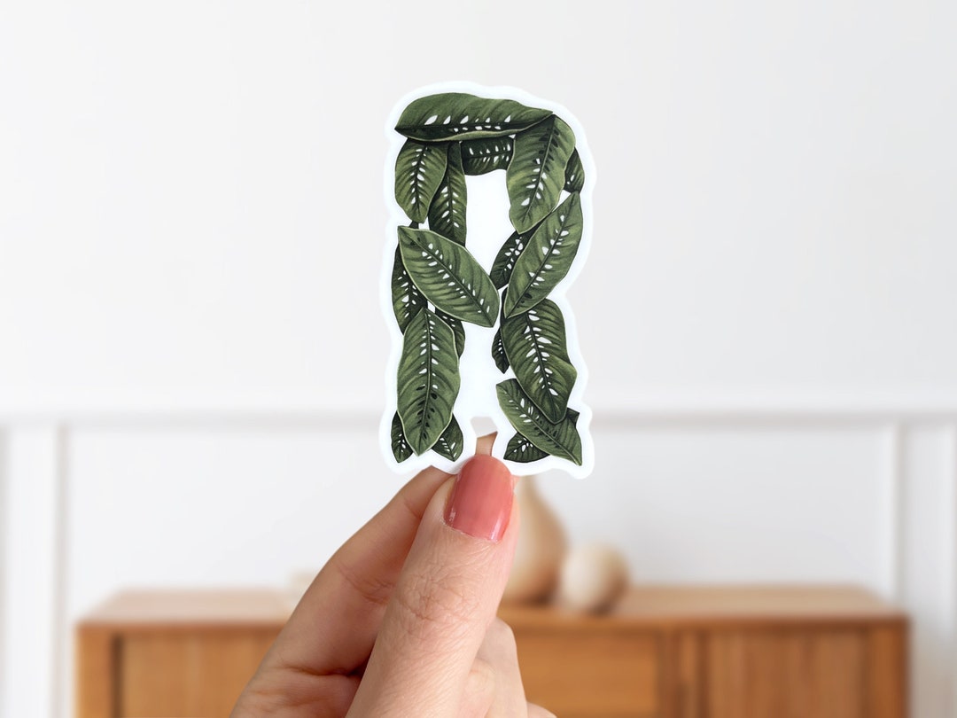 Letter R Rhapidophora Plant Sticker - Botanical Initial Sticker - Etsy