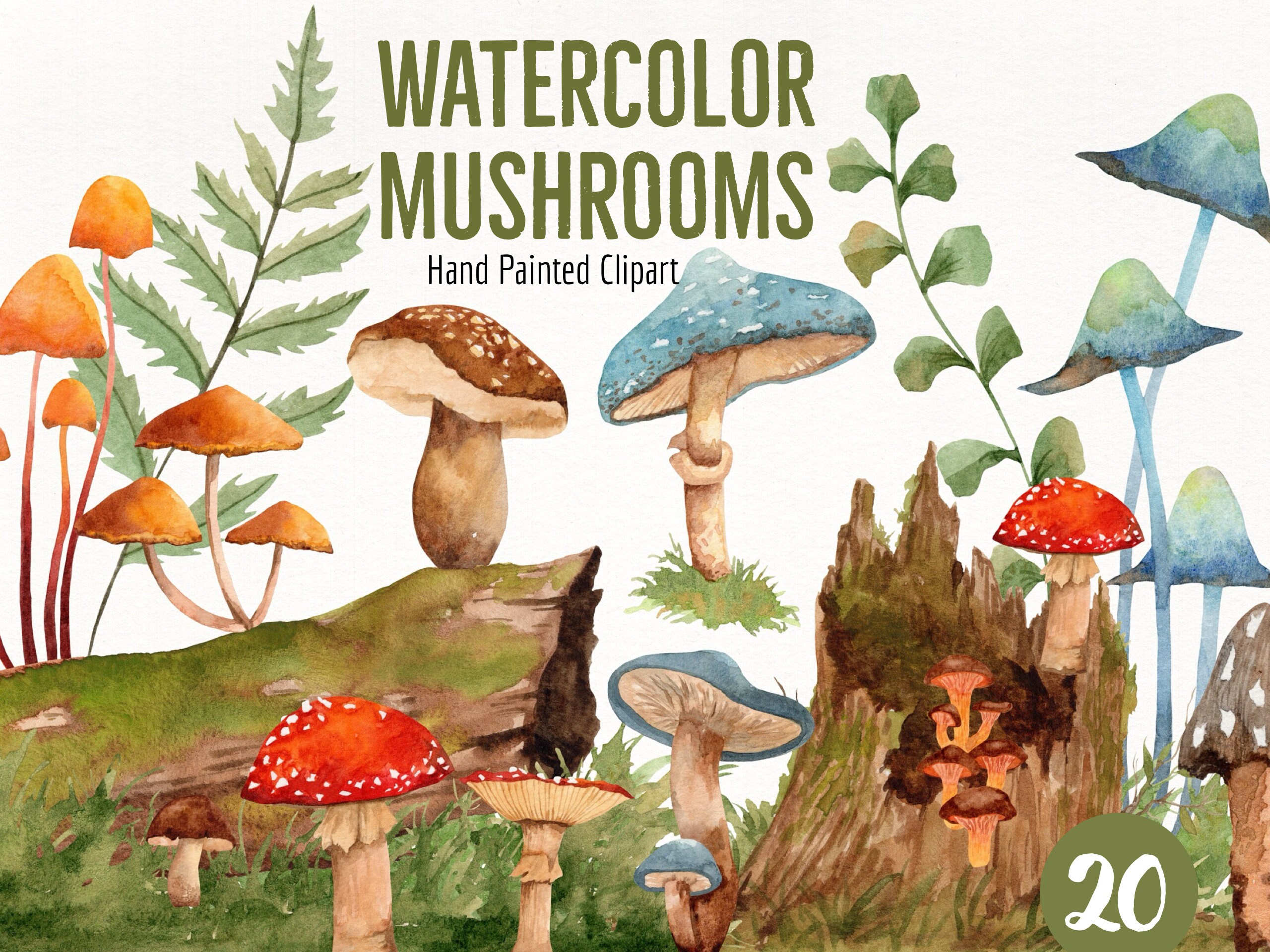 Watercolor Mushroom Woodland Clipart Forest Clipart Mushroom Etsy