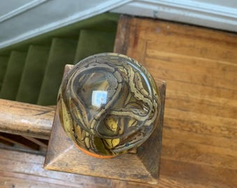 Baby Spinner Ball Pythons in Globe