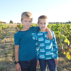 Peut inclure: Deux jeunes garçons portant des chemises bleu sarcelle à imprimé voiture. Le garçon à gauche porte une chemise bleu sarcelle unie avec une bordure noire. Le garçon à droite porte une chemise bleu sarcelle avec un imprimé voiture blanche. Ils sont debout dans un vignoble.