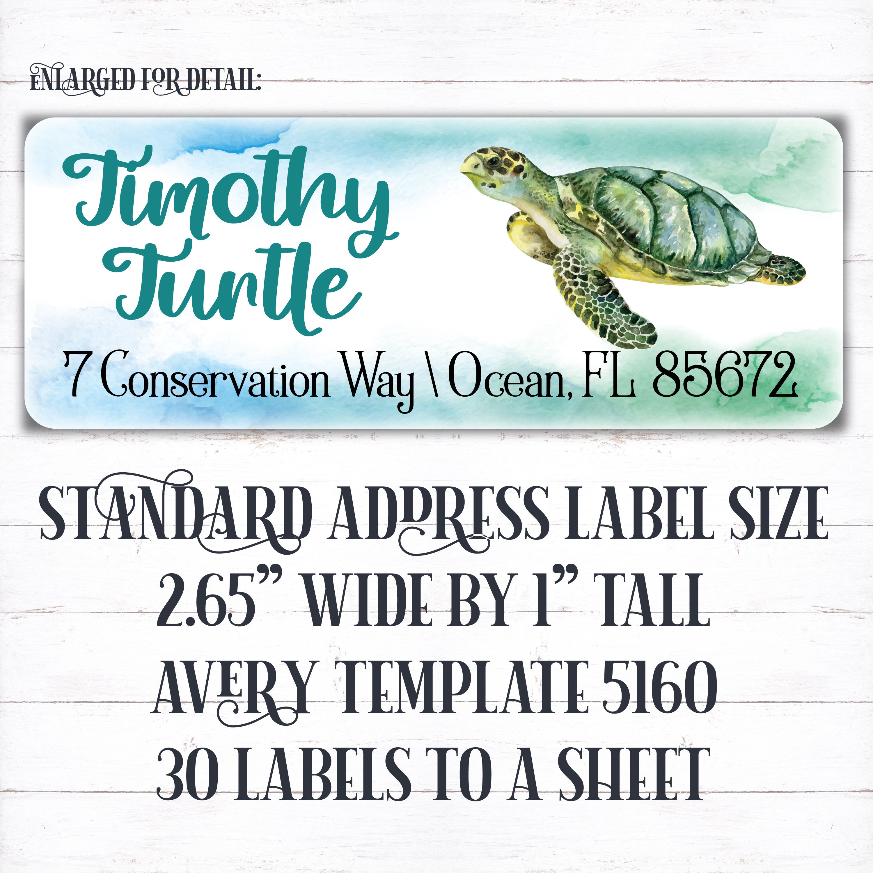Slow Turtle Labels Personalized Sea Turtle Address Labels, Ocean Conservation - Etsy