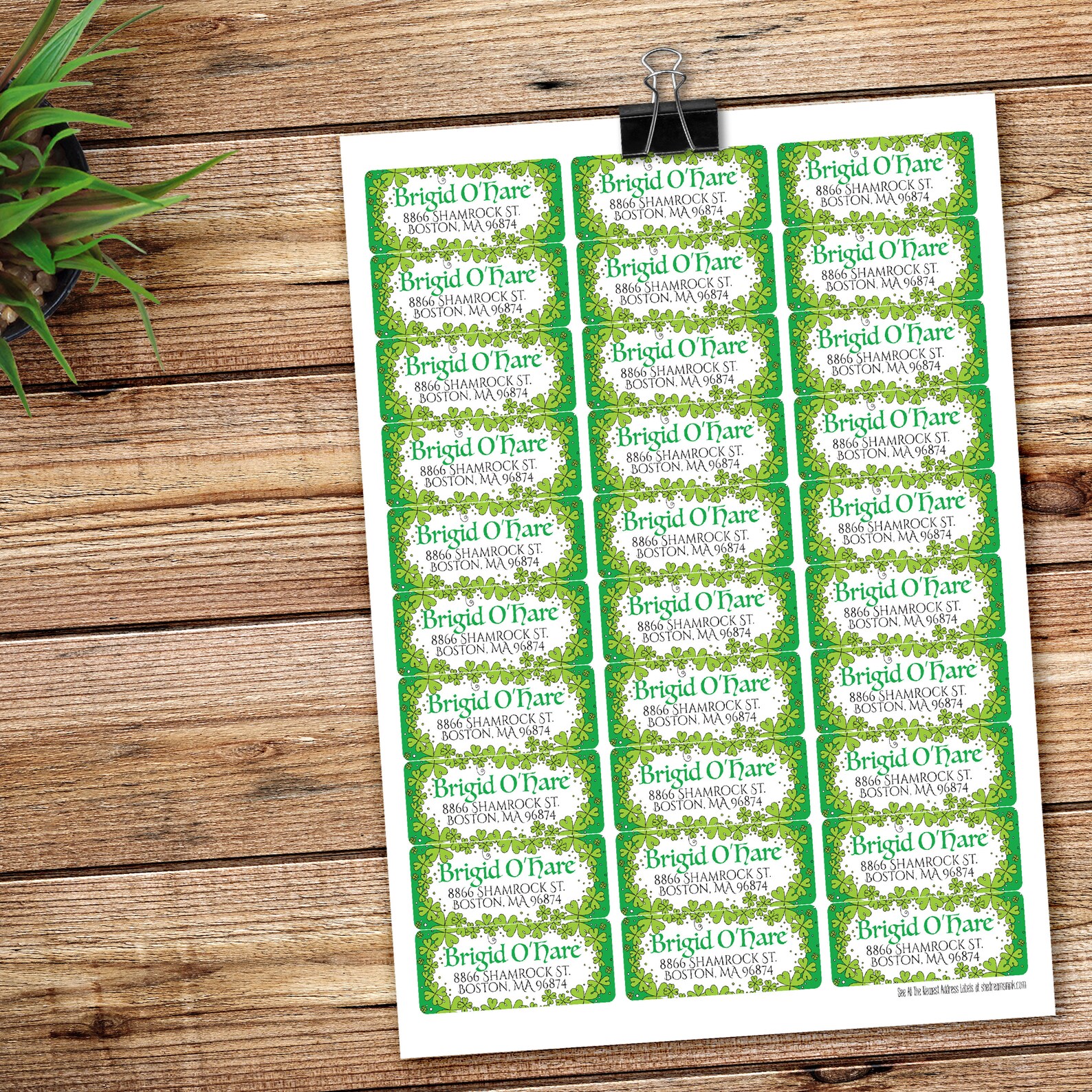 Shamrock Address Label Clover Return Address Irish Wedding Etsy