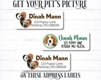Christmas cat address labels