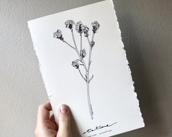 minimalist floral drawing, black ink flower, statice ink sketch, simple floral art print