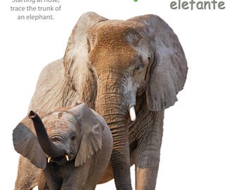 Zoo Animal Signs Poster Pack