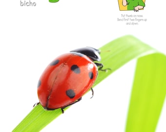 Outside Signs Poster Pack