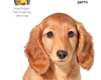 Pet Signs Poster Pack