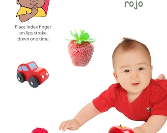 ASL Color Learning Posters | Spanish Inclusive, Baby Signs (Digital Download)