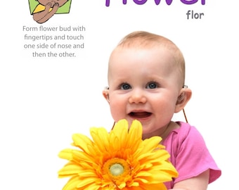Park Signs Poster Pack: Baby Sign Language (Digital Download)