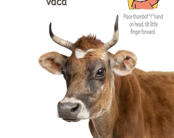 Farm Animal Signs Poster Pack