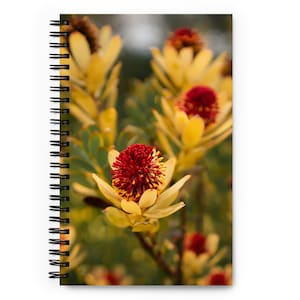 May include: A spiral-bound notebook featuring a close-up of vibrant yellow and red flowers. The flowers have a unique texture and are set against a blurred green background. The notebook's spiral binding is black.
