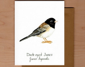Bird Note Card -Dark-eyed Junco, Bird note card, Blank note card