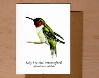 Bird Note Card- Ruby-throated hummingbird, Blank note card, Hummingbird card, watercolor note card