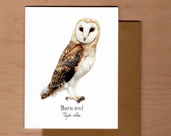 Bird Card -Barn Owl, Bird greeting card, Blank note Cards, Owl Greeting Card