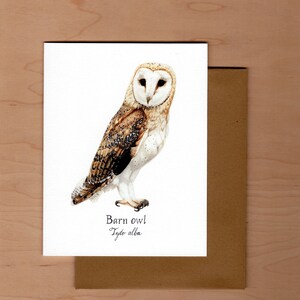 Barn Owl Card: Watercolor Bird Greeting Card