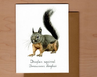 Douglas Squirrel Note Card, Squirrel Note Card, Watercolor Note Card, Blank note card