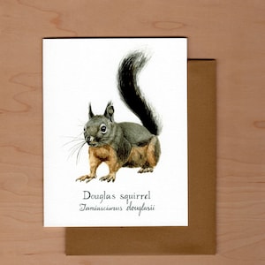 Douglas Squirrel Watercolor Note Card: Pacific Northwest Wildlife