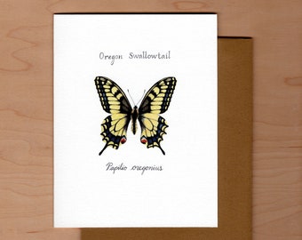 Butterfly Note Card-Oregon Swallowtail, Butterfly Card, Blank Note Card