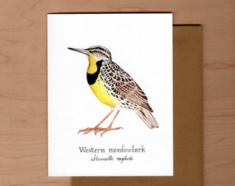 Bird Note Card-Western Meadowlark, Blank note card