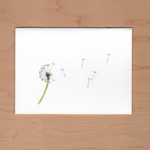 Dandelion Wish Birthday Card image 1