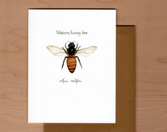 Honey bee note card, Blank note card, watercolor note card