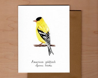 American Goldfinch Note Card: Watercolor Bird Art, Blank Inside
