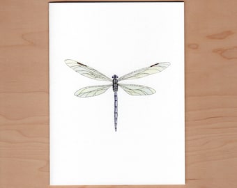 Dragonfly note card