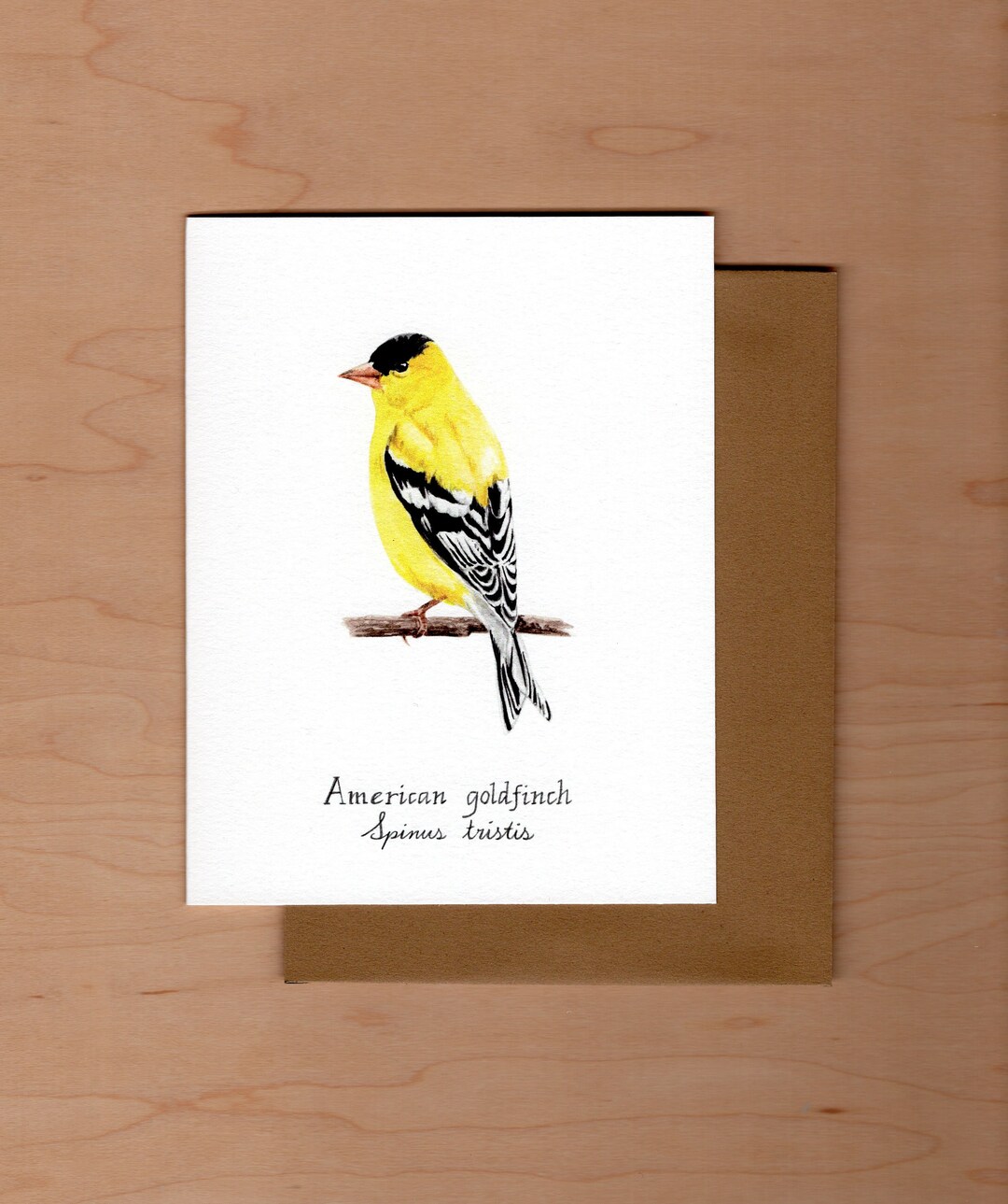 Bird Note Card american Goldfinch, Blank Note Card, Etsy