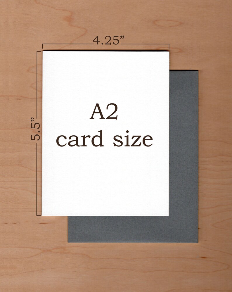 Cartes de correspondance en boîte - Lot de 8 cartes vierges - Cartes de correspondance papillon image 4