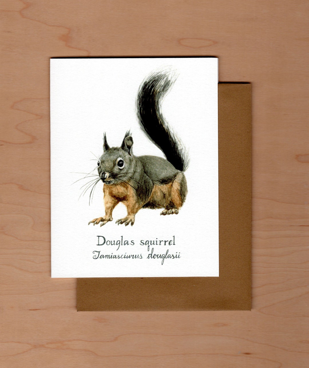 Douglas Squirrel Note Card, Squirrel Note Card, Watercolor Note Card ...