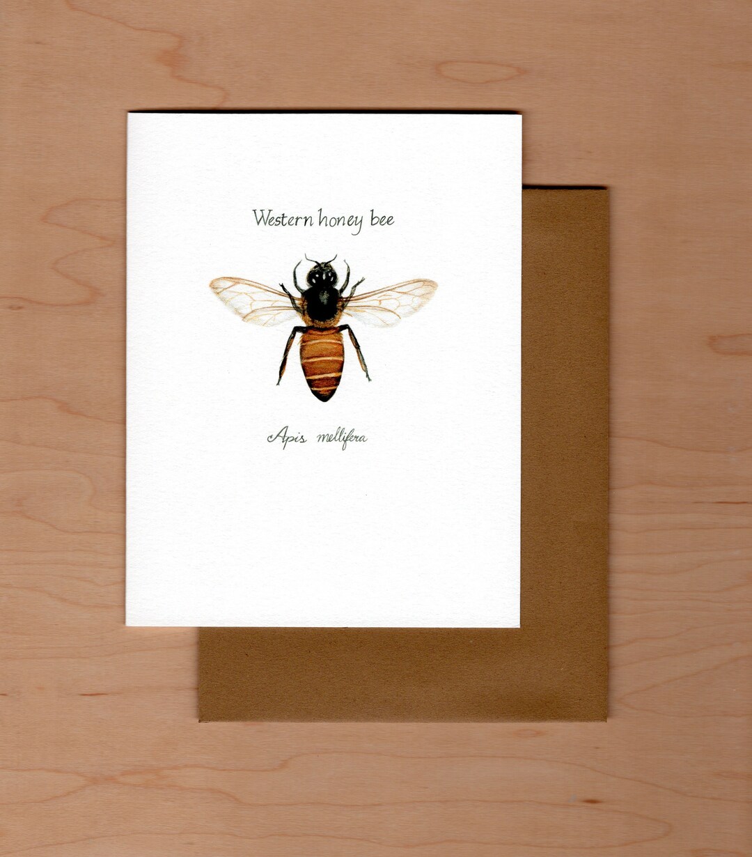 Honey Bee Note Card, Blank Note Card, Watercolor Note Card Etsy