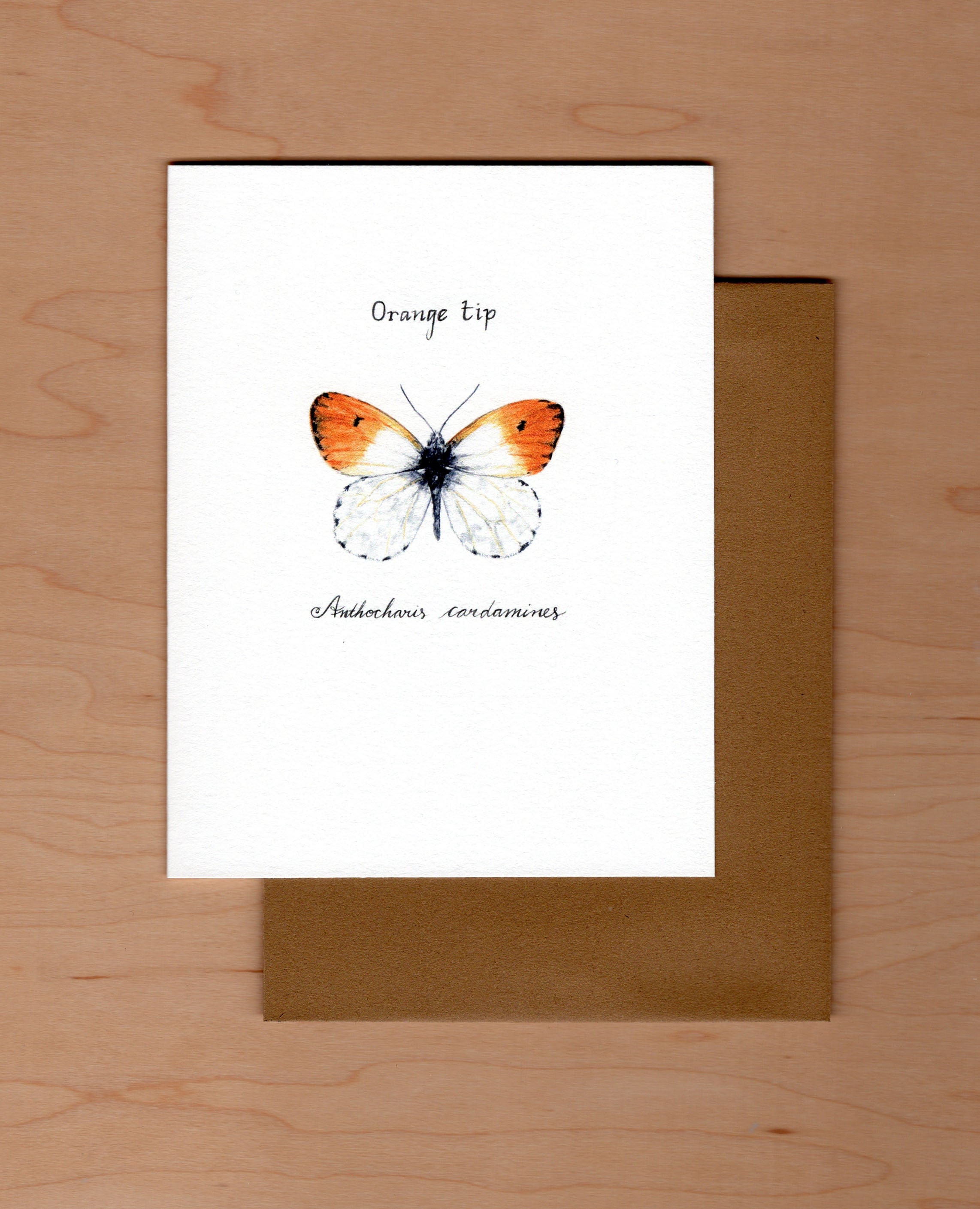 Orange Tip Butterfly Note Card: Watercolor Art, Blank Inside - Etsy