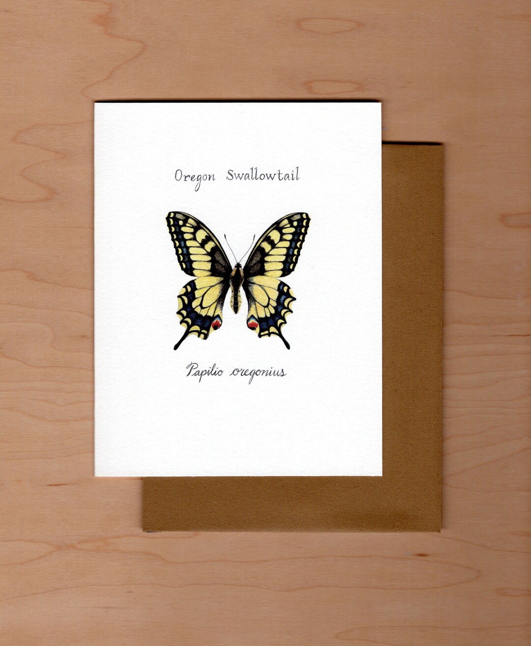 Oregon Swallowtail Butterfly Note Card: Watercolor Art, Blank Inside - Etsy