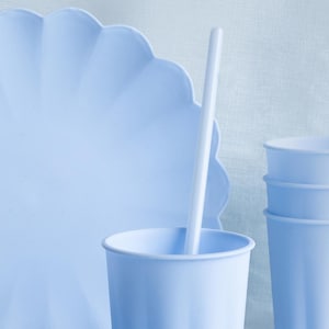 Pastelblauwe herbruikbare rietjes - babyblauwe feestrietjes - lichtblauw servies voor verjaardagsfeestje - herbruikbare plastic rietjes met borstel - 12 stuks