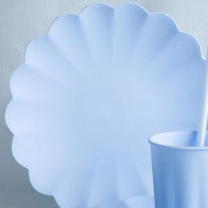 Pastel Blue Reusable Plates - Baby Blue Party Plates - Light Blue Birthday Party Decorations - Picnic Plastic Plates - Pack Of 4