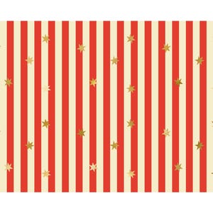 Tovaglia a strisce con tenda da circo - Tovaglia di carta con strisce rosse e stelle dorate - Articoli per feste di carnevale - Tema luna park - Festa di compleanno per bambini