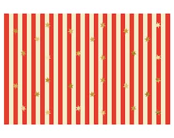 Circus Tent Stripe Tablecloth - Paper Tablecloth With Red Stripes & Gold Stars - Carnival Party Supplies - Funfair Theme-Kids Birthday Party