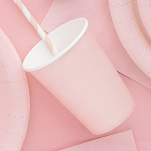 May include: A pale pink paper cup with a white rim and a striped straw, alongside matching plates and napkins. The items are arranged on a pink surface, creating a cohesive party theme.