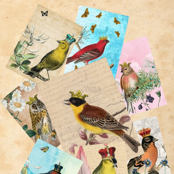 Crowned Birds FOREST SECRETS  printable cards 2.5" x 3.5" instant download greeting card ATC collage sheet junk journal scrapbooking