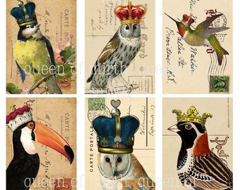 Majestic Birds with Crowns Cards ATC junk journal vintage postcard printable digital download collage sheet journaling card making scrapbook