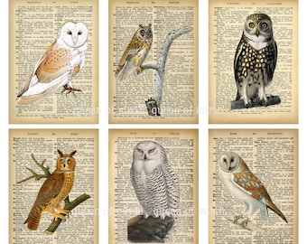 Owl Wisdom ATC Cards Owls on Vintage Dictionary Pages woodland  2.5" x 3.5"  printable digital download journaling junk journal