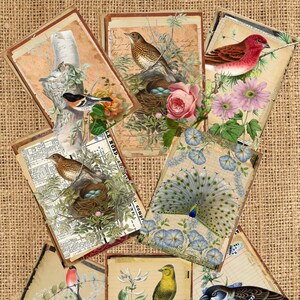 8 Tattered Birds Cards ATC 2.5" x 3,5" nid floral imprimable ephémera junk journal embellissements carte de fabrication scrapbooking