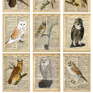 Eule Weisheit ATC Karten Eulen auf Vintage Wörterbuch Seiten Wald 2,5 "x 3,5" druckbare digitale Download Journaling Junk Journal